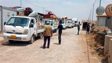 IMG ٢٠٢٣٠٣٠٢ ٢١١٣٤٨