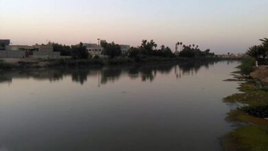 IMG ٢٠٢٣٠٣٠٢ ٢١٣٨٠٢