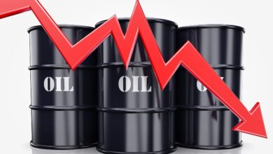 IMG ٢٠٢٣٠٣٠٣ ١٧٣٨٣٢