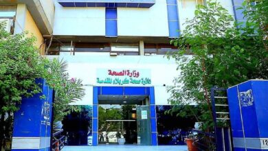 IMG ٢٠٢٣٠٣٠٣ ٢١٥٢٣٧