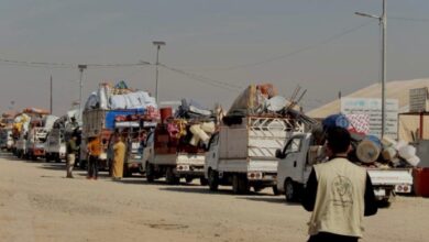 IMG ٢٠٢٣٠٣٠٧ ٠٩٤٢٠٥