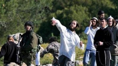 IMG ٢٠٢٣٠٣١٠ ٠٩٣٦٠٢