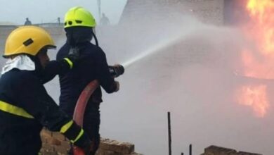 IMG ٢٠٢٣٠٣١١ ١١٥٨١٤