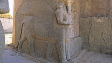 IMG ٢٠٢٣٠٣١٤ ١١٣١٤٧