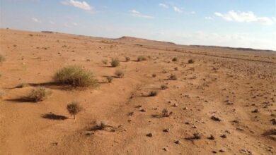 IMG ٢٠٢٣٠٣١٤ ١٥٢٧٠٤