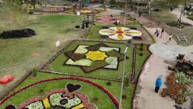 IMG ٢٠٢٣٠٣١٤ ٢٠١٢٢٦