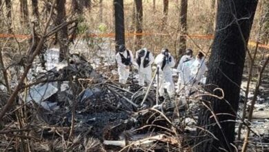 IMG ٢٠٢٣٠٣١٥ ٠٨٣٢٠٩