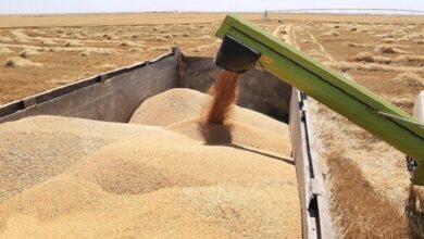 IMG ٢٠٢٣٠٣١٧ ١٥٢٩٤٠