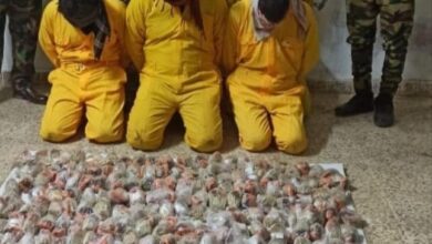 IMG ٢٠٢٣٠٣١٨ ١٣٤٣٣٧