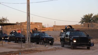 IMG ٢٠٢٣٠٣١٩ ١٣٣٤٢٦