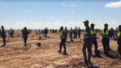 IMG ٢٠٢٣٠٣٢١ ١٤٥٦٢٠