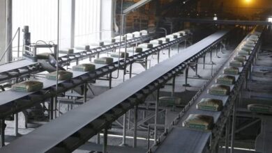 معمل سمنت الكوفة يحقق قفزة نوعيّة في الإنتاج 5 IMG ٢٠٢٣٠٣٢٢ ١٥٤٩٠٥