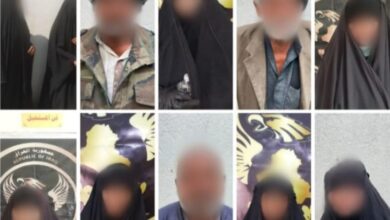 IMG ٢٠٢٣٠٣٢٣ ١١٥١٣٣