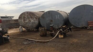 IMG ٢٠٢٣٠٣٢٣ ١٤٤١٤٤ 1