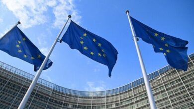 IMG ٢٠٢٣٠٣٢٥ ١٥٠٧٠٢