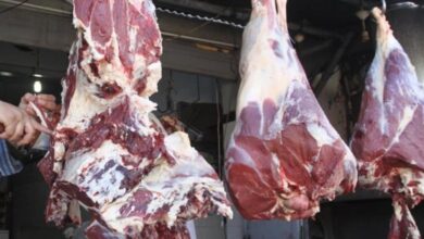 IMG ٢٠٢٣٠٣٢٥ ١٧١٠٣٤