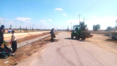 IMG ٢٠٢٣٠٣٢٥ ١٩٥٩١٨