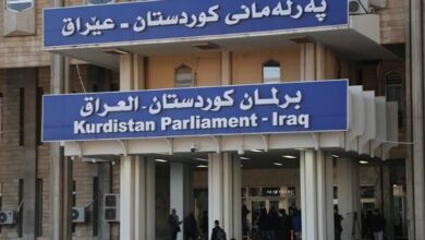 IMG ٢٠٢٣٠٣٢٦ ١٤٣٢٣٣