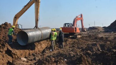 IMG ٢٠٢٣٠٣٢٨ ٢٠٢٢٣٩