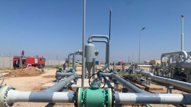 IMG ٢٠٢٣٠٣٢٩ ١٣٣٣٠١