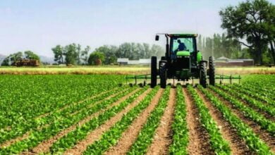 IMG ٢٠٢٣٠٣٢٩ ١٩٥٧٠٩