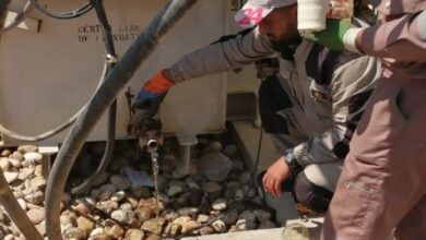 IMG ٢٠٢٣٠٣٣٠ ١٣٤٠٣٦