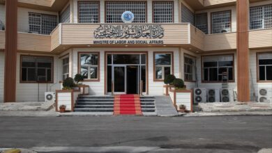 IMG ٢٠٢٣٠٣٣١ ١٣١٠٠١