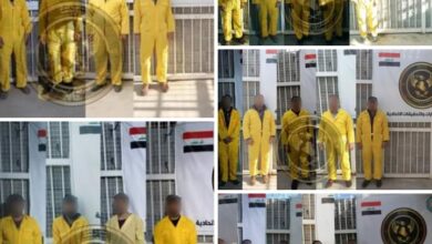 Screenshot 2023 03 01 12 01 43 26 a23b203fd3aafc6dcb84e438dda678b6