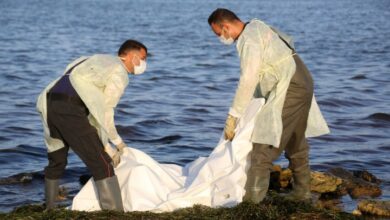 Screenshot 2023 03 23 07 52 59 38 99c04817c0de5652397fc8b56c3b3817