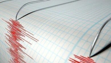 Screenshot 2023 03 28 12 50 34 05 99c04817c0de5652397fc8b56c3b3817