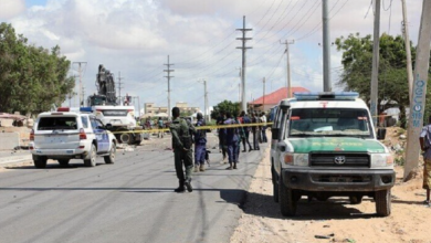 Screenshot ٢٠٢٣٠٣١٤ ٢٢٢٩١٥