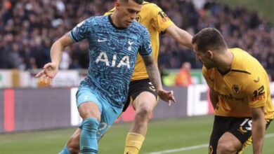 توتنهام يسقط أمام وولفرهامبتون