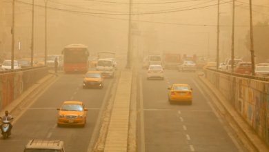 لقطة الشاشة 2022 07 12 100718 2 1