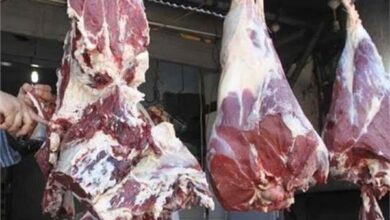 لتخفيض الأسعار.. الزراعة تسمح باستيراد اللحوم وتمنح قروضاً للمزارعين 3 20220404090246207