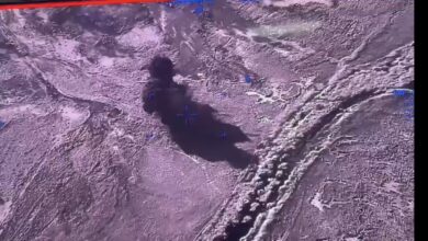 209D9582 E2C5 440E 91D6 DA45E06045E8