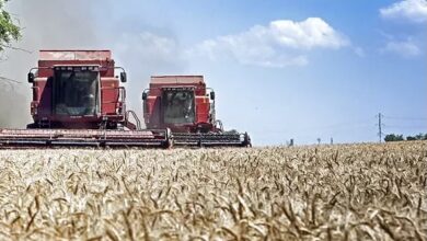 45321D35 A1FF 44B3 B780 AC2D386451A9