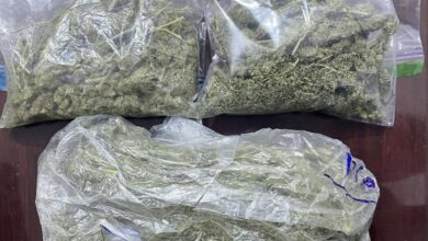 56A33CE9 035D 4F3E B3E2 E246A99980B0