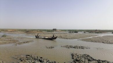 61CBDF3F 2904 45C4 96E8 F1AEB2B762CC