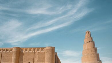 8D719EC7 3C2A 4BC7 8D1D F1114461841D