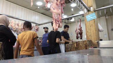 8D99865D 697C 4B8C 929B 8FC7876049BD