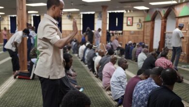 D3135AF6 6E8D 4AF5 B8F1 3394E43CA1D8