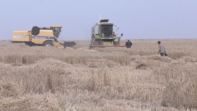 DA81714C 20AA 4913 B8D3 590BF882907A