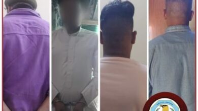 DF46BC2B 8BA1 41D1 B955 593482A16ECE