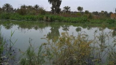 Doc P 444865 638097253823870908