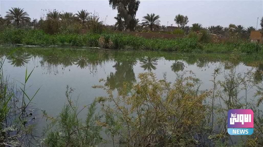 ماء كربلاء تعلن افتتاح مشاريع كبيرة لمعالجة شح المياه 1 Doc P 444865 638097253823870908