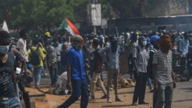 Doc P 453390 638173034655566467