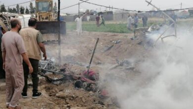 IMG 20230412 155523 546