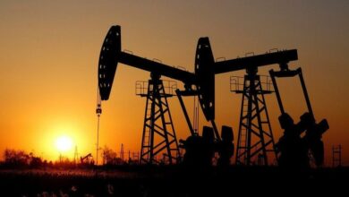 IMG 20230421 130356 128