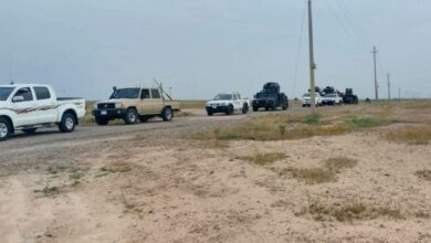 IMG ٢٠٢٣٠٤١٠ ١١٥٢١٤