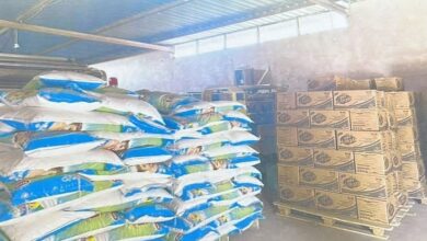 IMG ٢٠٢٣٠٤١٨ ١٥١٠٥٦